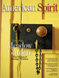 American Spirit